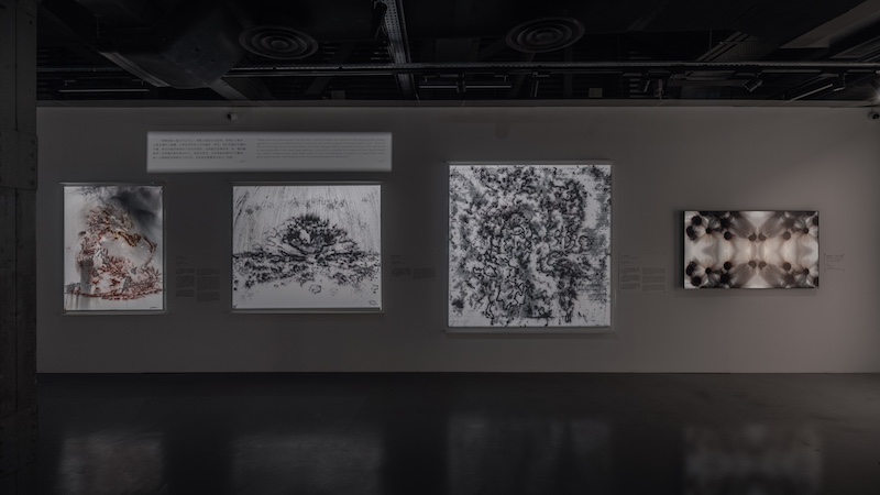 “cAI™️：灵魂扫描”展览现场，澳门海事工房1号，2024年。赵梦佳摄，蔡工作室提供。