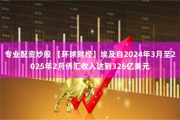 专业配资炒股 【环球财经】埃及自2024年3月至2025年2月侨汇收入达到326亿美元