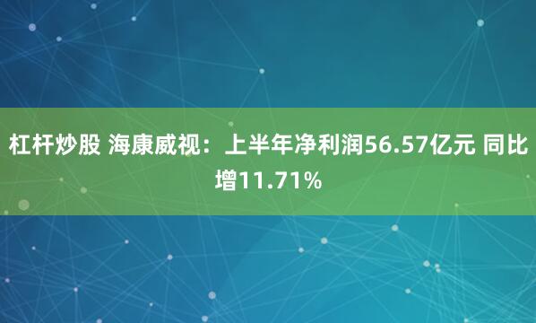 杠杆炒股 海康威视：上半年净利润56.57亿元 同比增11.71%