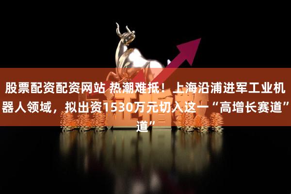 股票配资配资网站 热潮难抵！上海沿浦进军工业机器人领域，拟出资1530万元切入这一“高增长赛道”