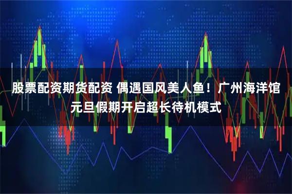 股票配资期货配资 偶遇国风美人鱼！广州海洋馆元旦假期开启超长待机模式